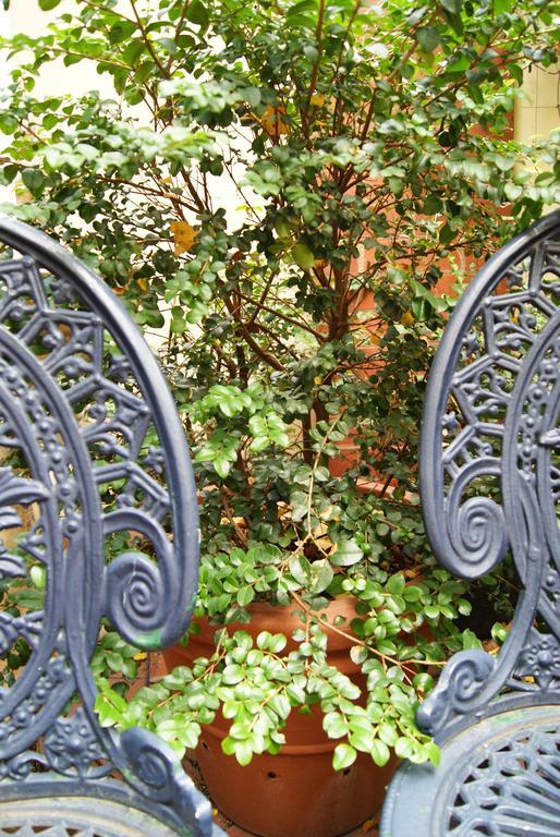 Aparthotel Andre'S Mews Melbourne City Exterior foto